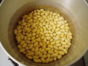 ���蓒�t�Q